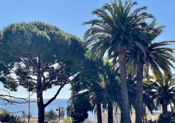 S'Agaro Àrea Autocaravanes — Foto 3