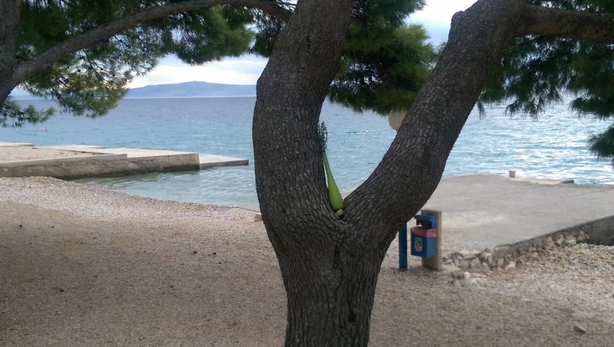 Camp Sibulhina — Camping in Tribanj