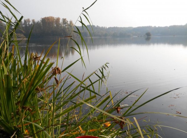 Stellplatz in Lingenfeld — Photo 2