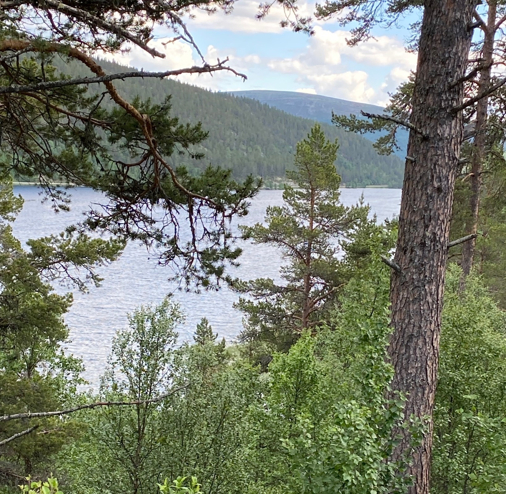 Solhaug Camping — Campingplads in Sollia