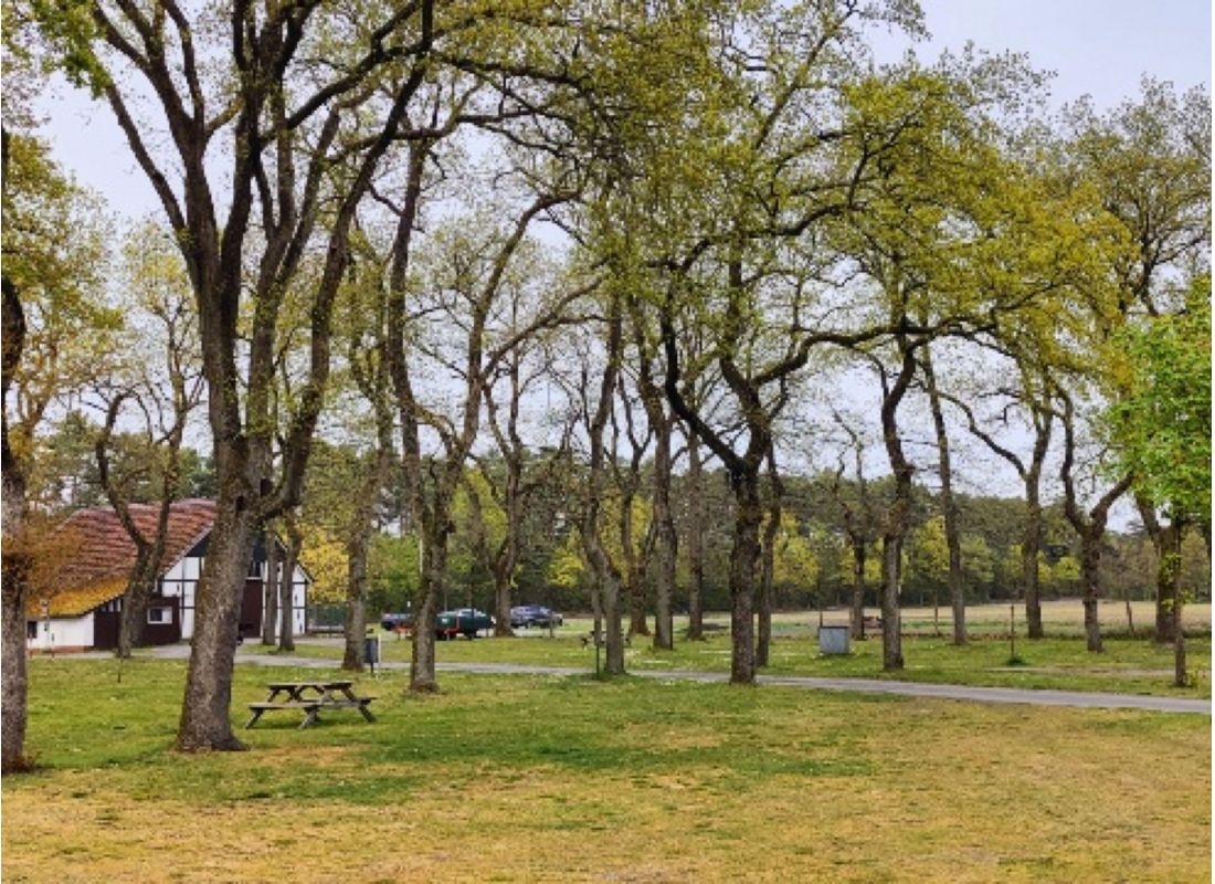 Campingplatz am Furlbach — Area da campeggio in Schloß Holte-Stukenbrock