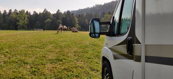 Spycher Handwerk Wohnmobilstellplatz — Foto 4