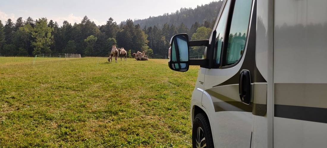 Spycher Handwerk Wohnmobilstellplatz — Campervan Site in Huttwil