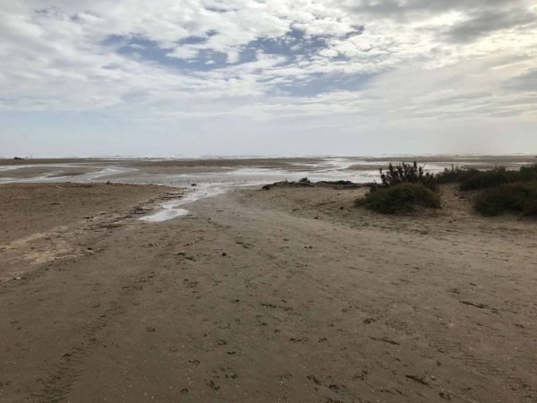 Stellplatz Saint-Pierre-La-Mer — Photo 3