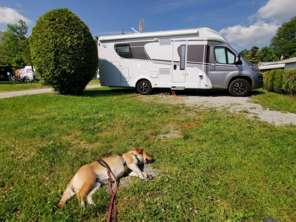 Alpen-Campingplatz — Photo 5