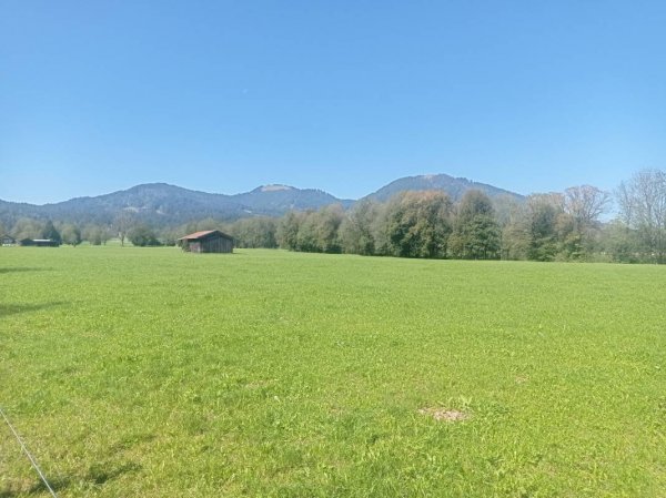 Alpen-Campingplatz