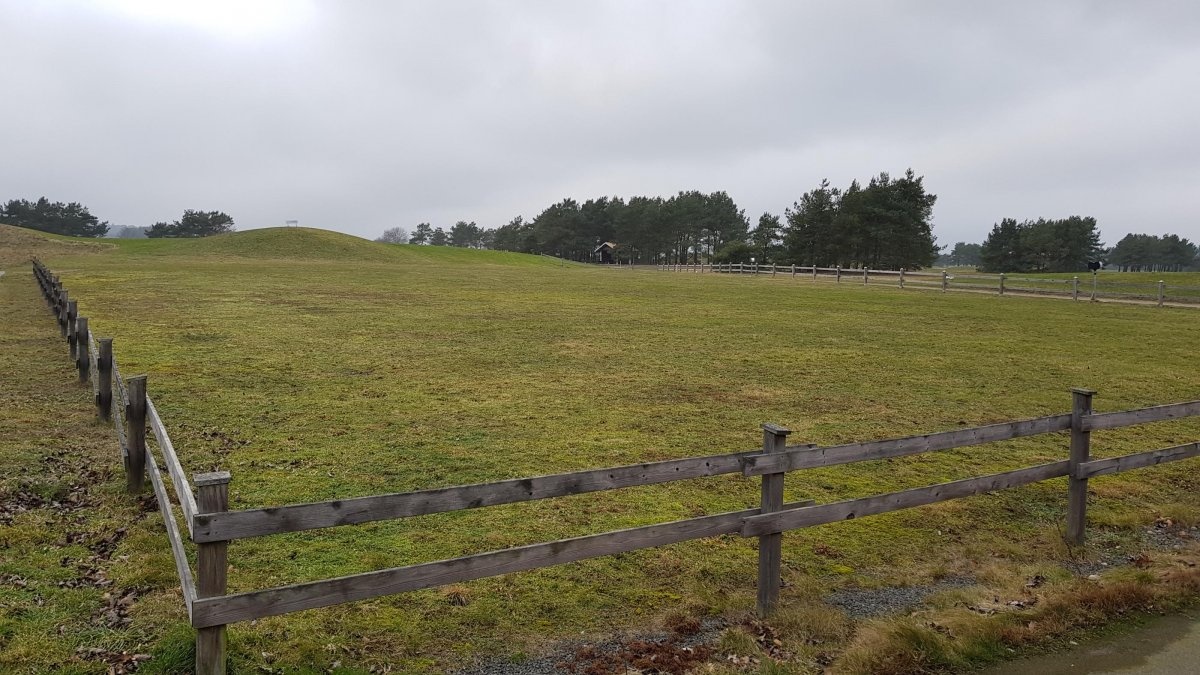 Degeberga-widtsköfle Golfklubb — Bobilplass in Vittskövle