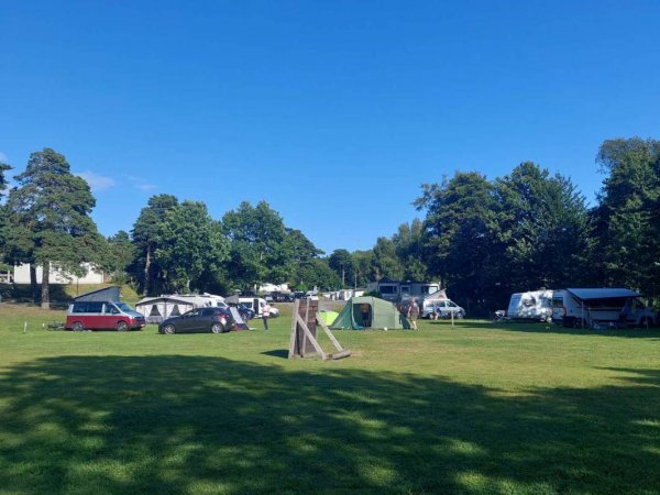 Gon Camping — Photo 5