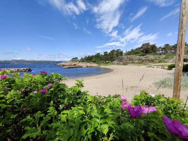 Gon Camping — Photo 3