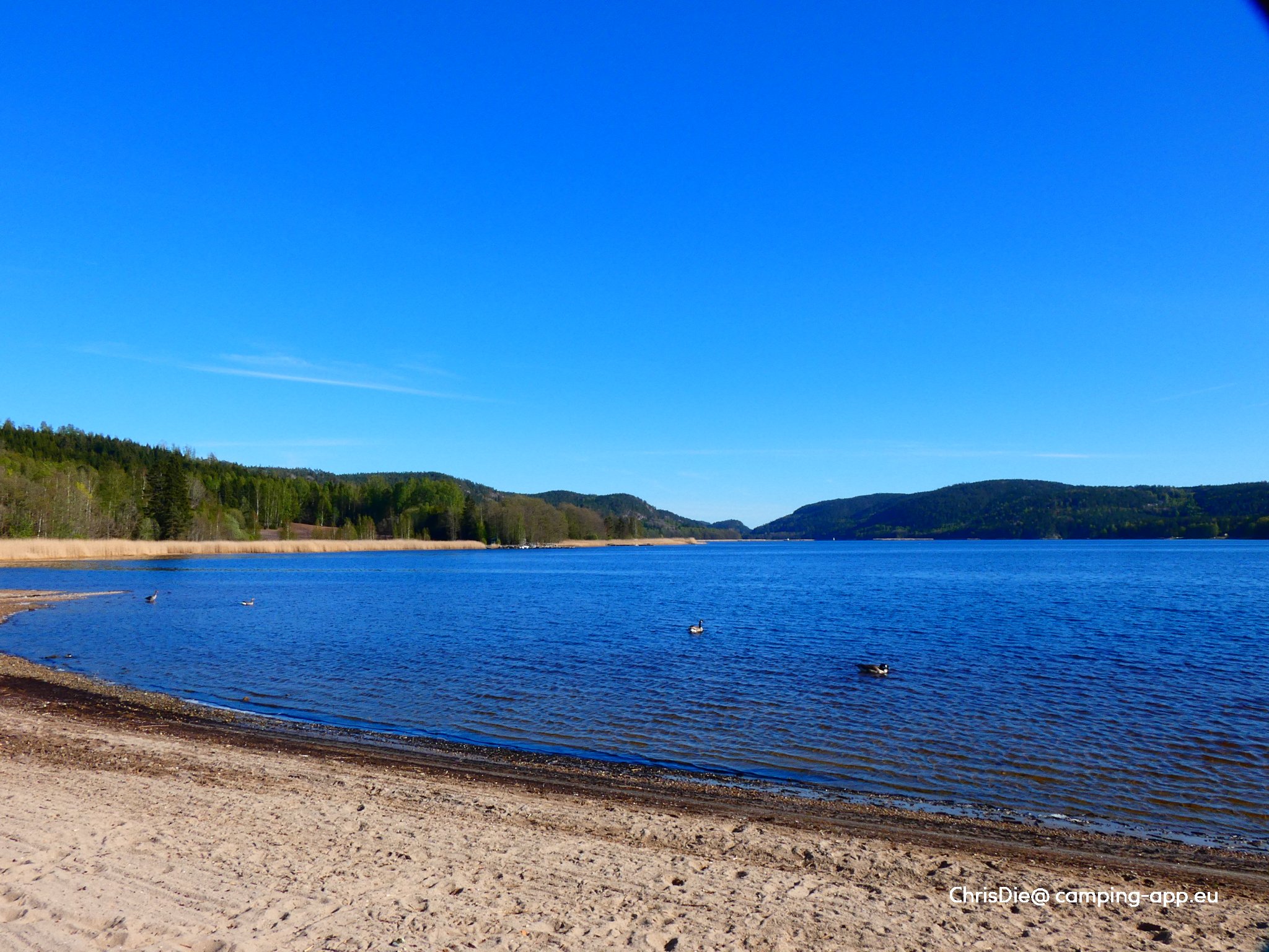 Bakke Camping — Photo 4