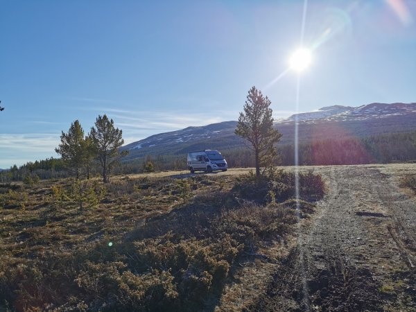 Steinholet Camping — Campingplads in Tessanden