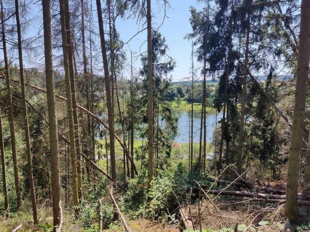 Campingplatz Auensee — Area da campeggio in Köditz