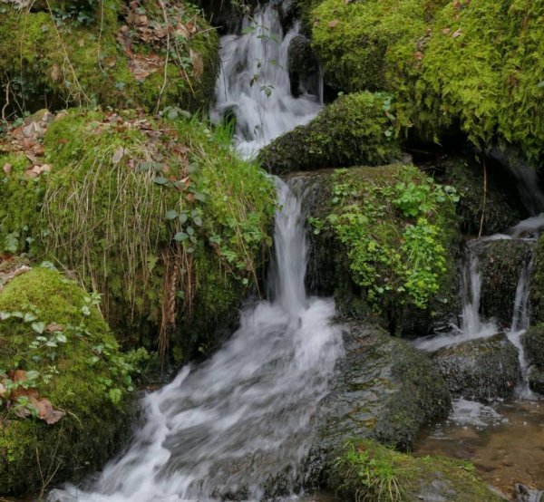 Stellplatz Sasbachwalden — Photo 4