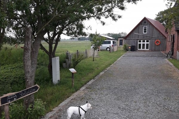 Stellplatz am Elbdeich VANdalusian — 露营车营地 in Friedrichskoog