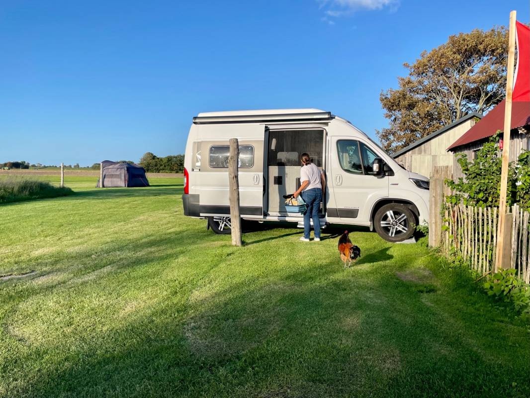Stellplatz am Elbdeich VANdalusian — Camperplads in Friedrichskoog