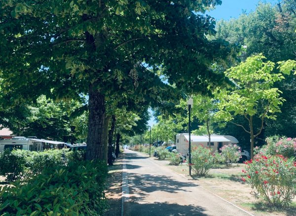 Camping Trasimeno — Photo 3