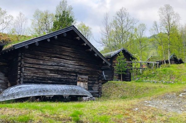 Hallandtunet Caravan & Camping — Photo 2