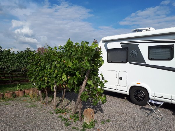 Weingut Hubert Müller — Foto 3