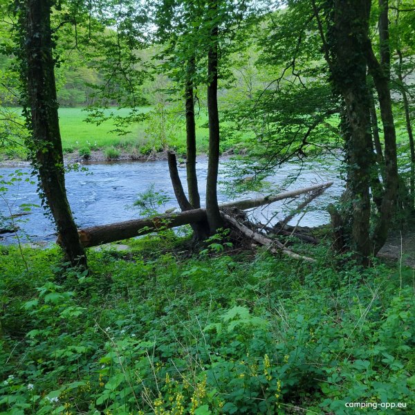 Camping du Nord — Photo 6