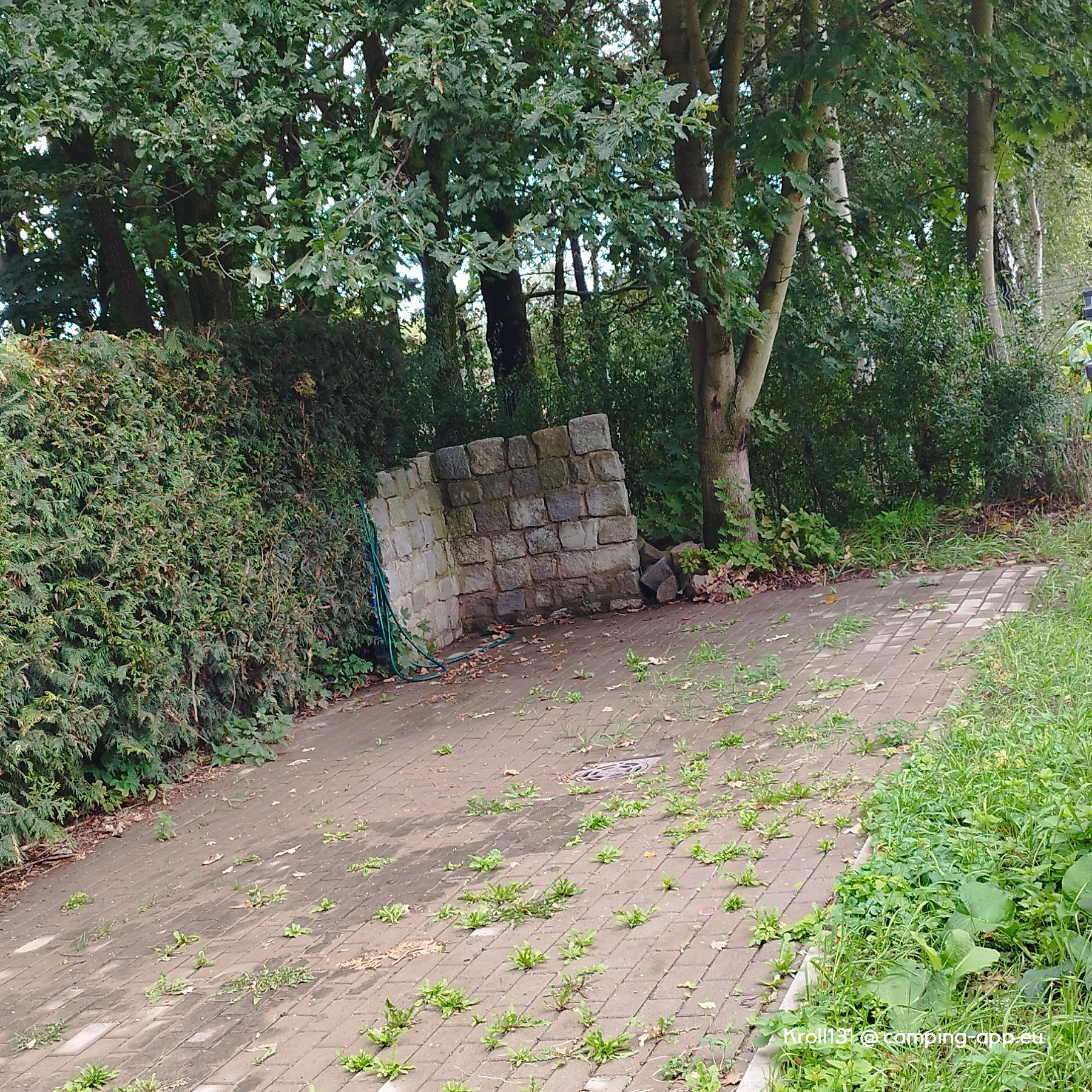 Yachthafen Krapkowice — Foto 4