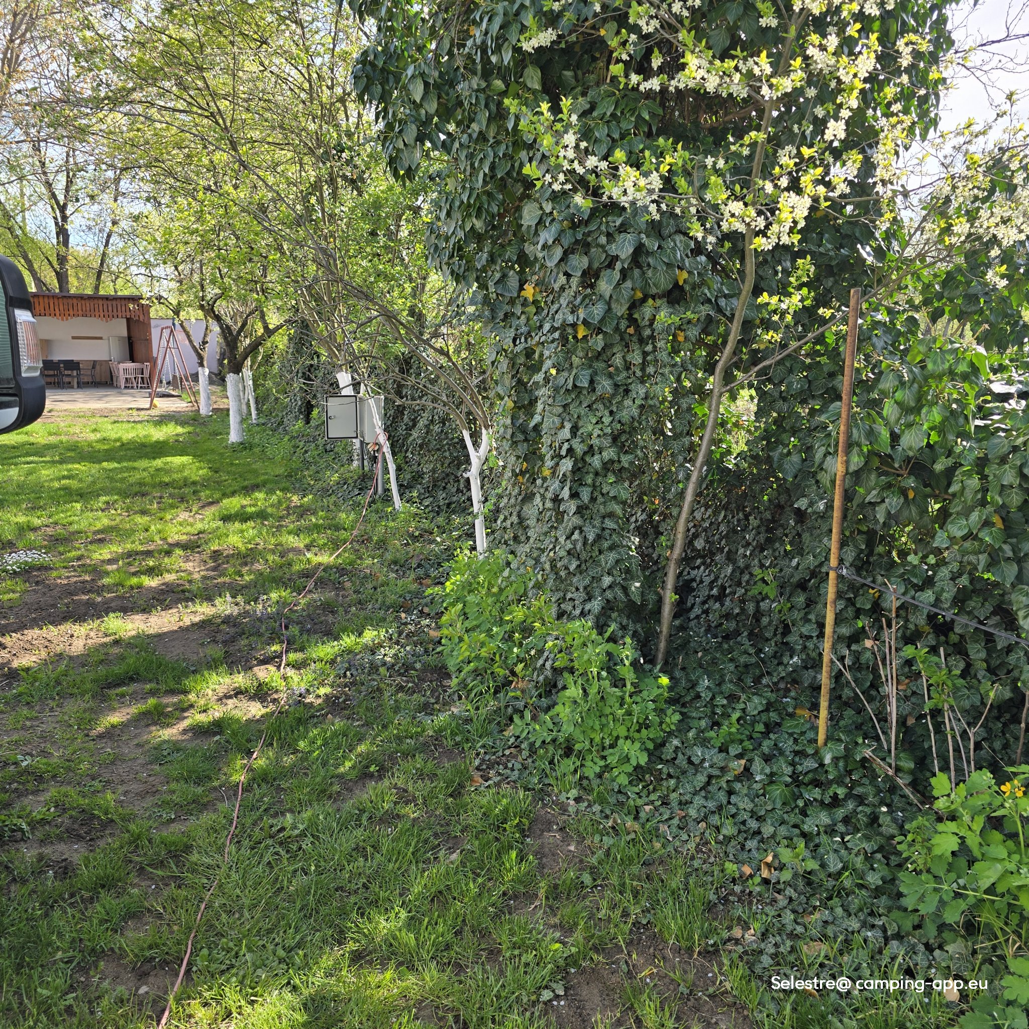 Camping Salisteanca — Photo 5