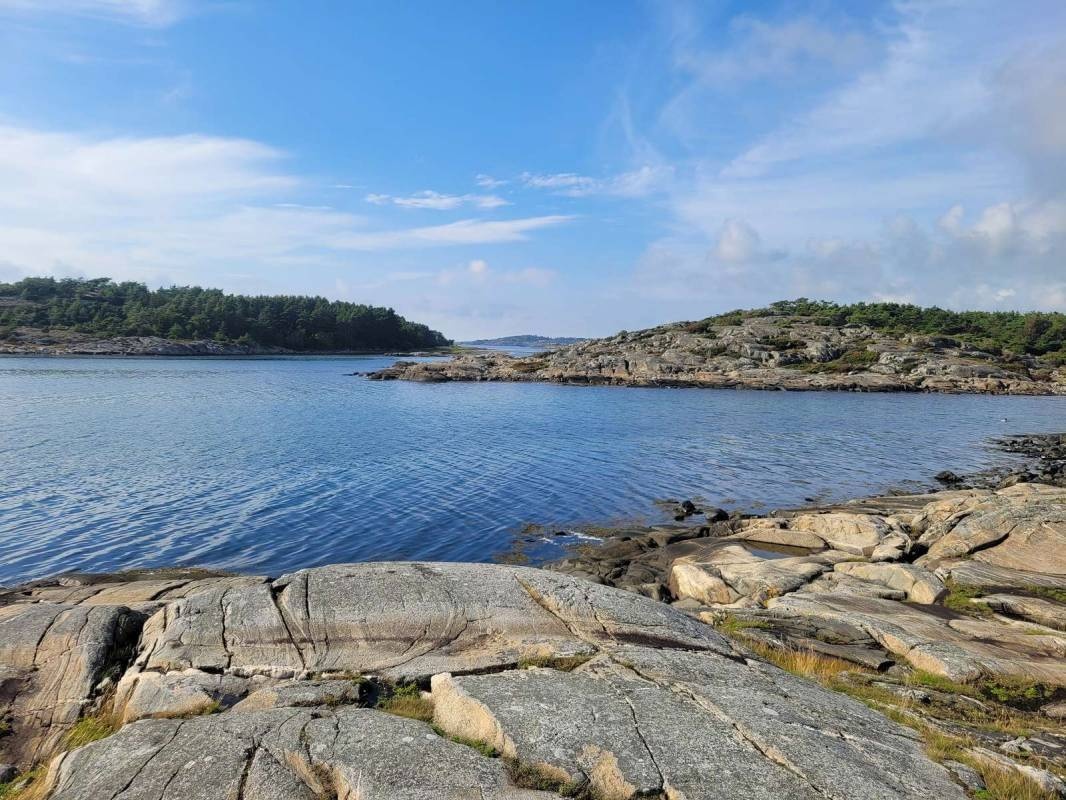 Rörviks Camping — Camping in Onsala