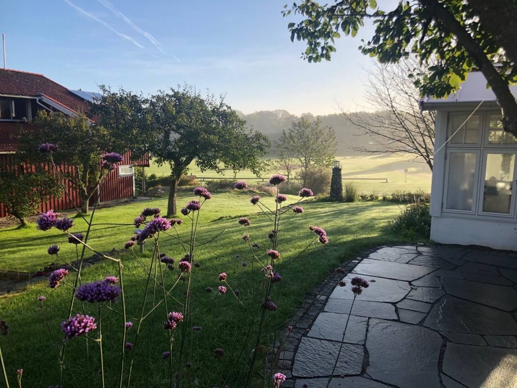 Rörviks Camping — Campingplads in Rörvik