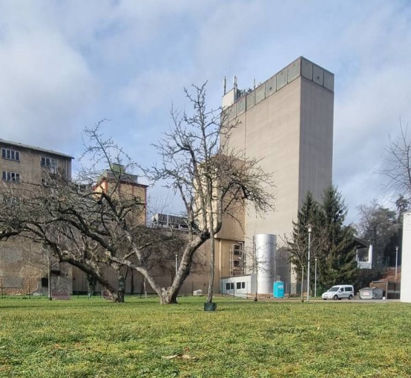 Stellplatz Kirchheimbolanden  — Foto 6
