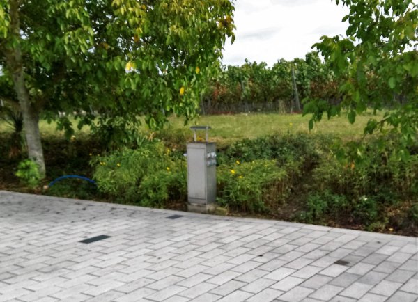 Weingut Gerharz-Hochthurn — Photo 3