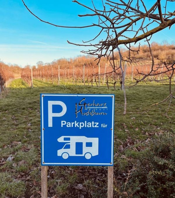 Weingut Gerharz-Hochthurn — Foto 4