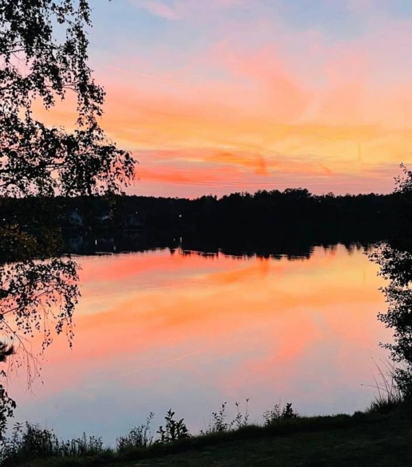 Campingpark Murner See — Photo 2