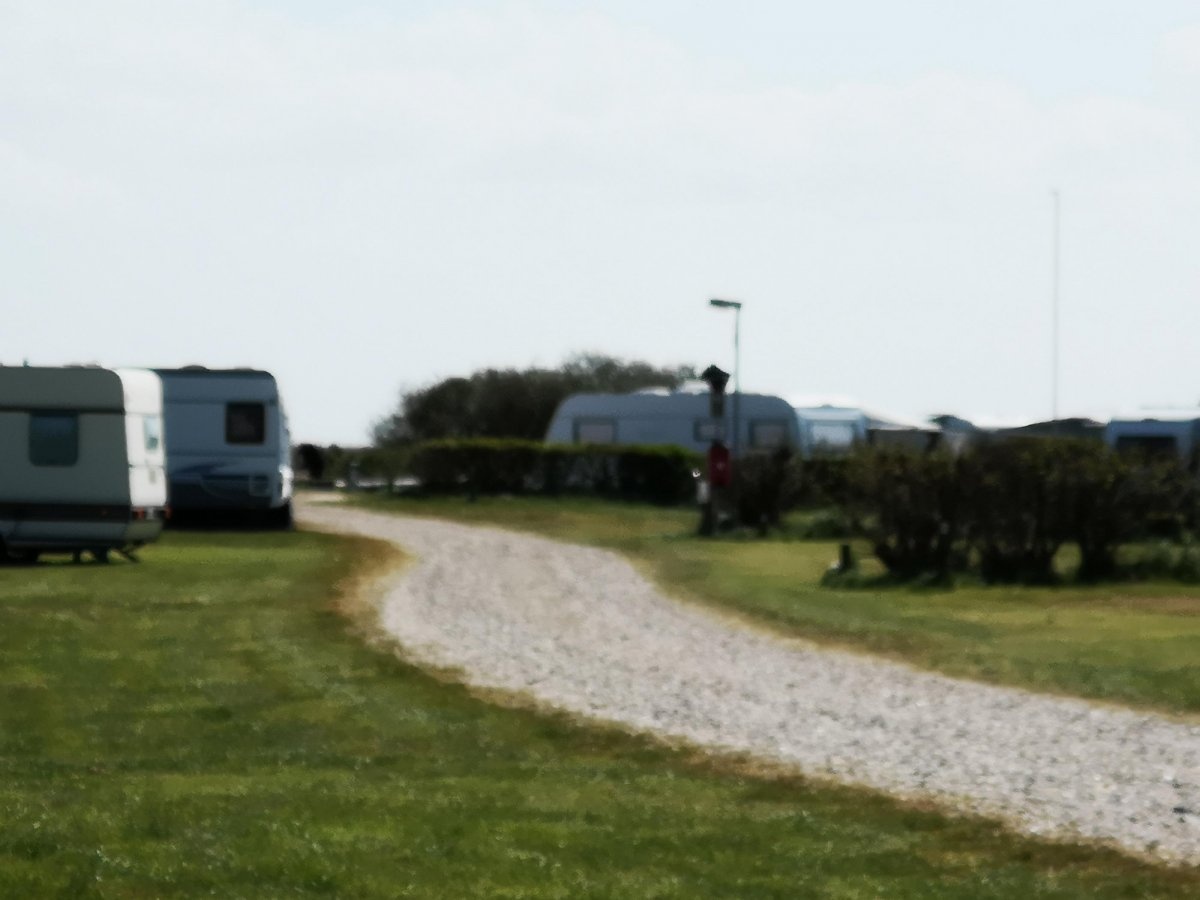 Bjerregaard Campingplatz — Kemping in Haurvig