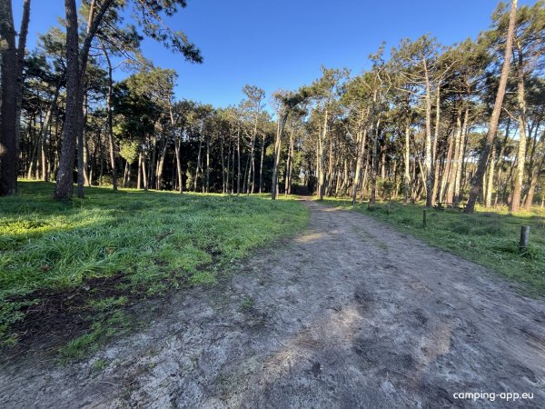 ORBITUR Caminha — Foto 4
