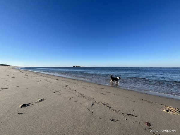 ORBITUR Caminha — Photo 6