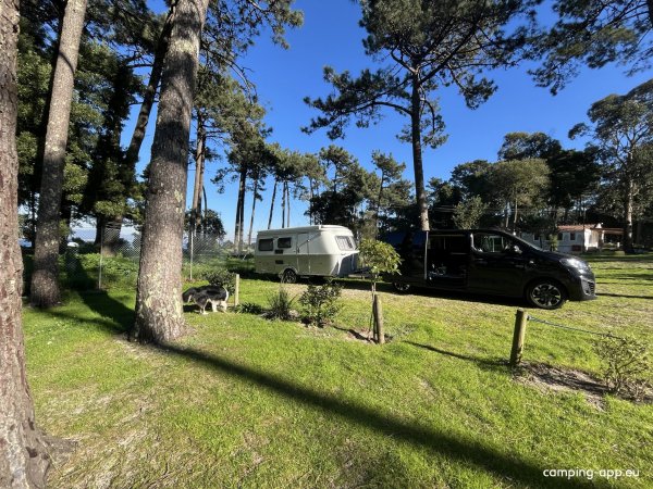 ORBITUR Caminha — Foto 2