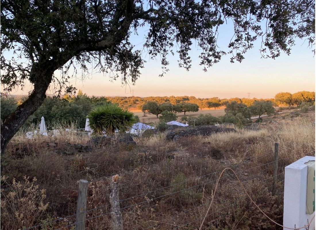 Camping Alentejo — Kamp yeri in Évora Monte