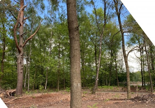 Toppark 't Hulsbeek — Camping Site in Deurningen