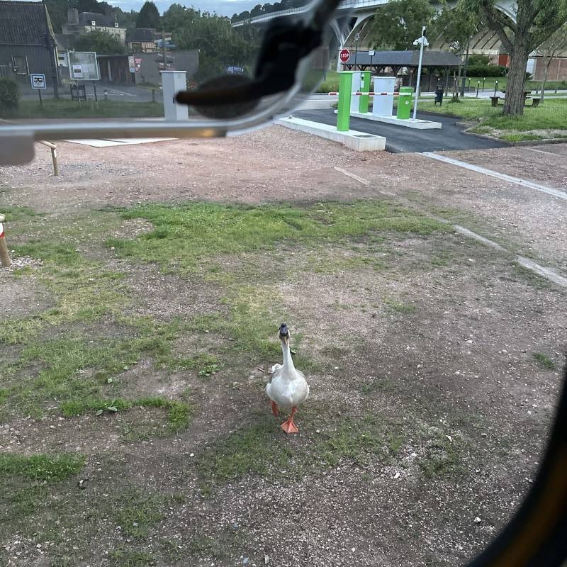 Stellplatz La Rivière-Saint-Sauveur — Bobilplass in La Rivière-Saint-Sauveur