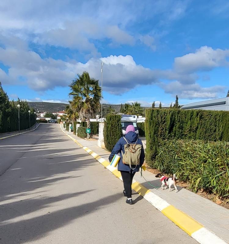 Los Olivos Camper Park — Campervan Site in Cartagena