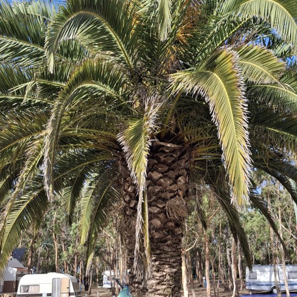 Parque de campismo serrao — Zdjęcie 3