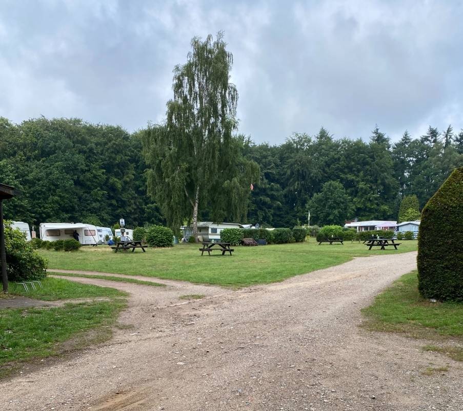 Campingplatz Bredenbeker Teich — Sítio de acampamento in Ammersbek