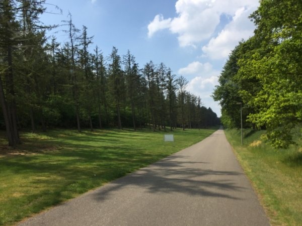 Campingplatz Wilsumer Berge Ost — Camping in Wilsum