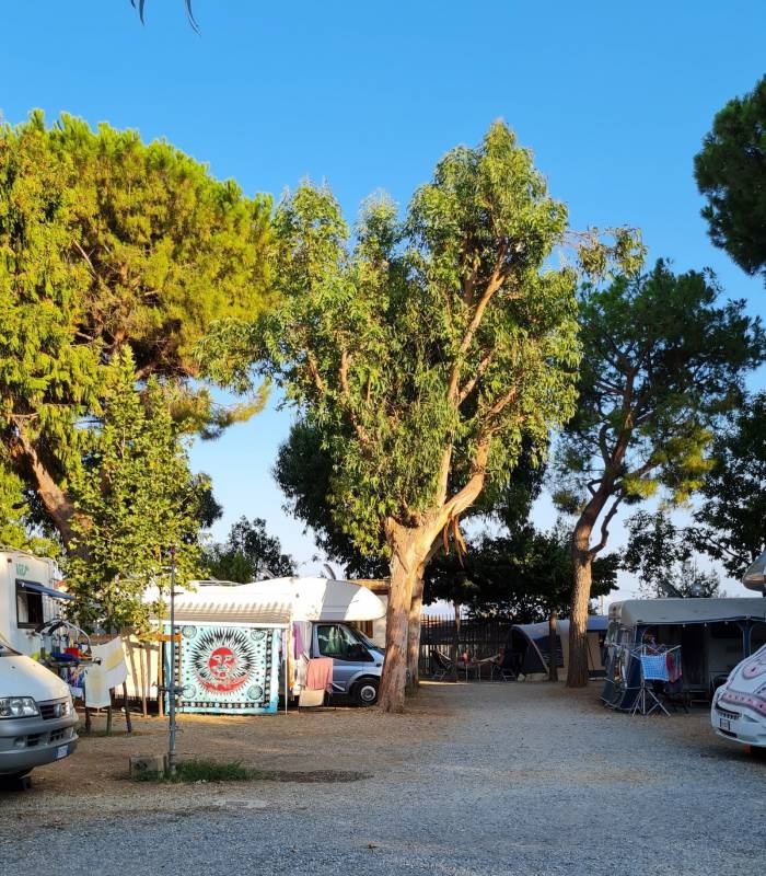 Bungalow Camping Baciccia — Sítio de acampamento in Ceriale