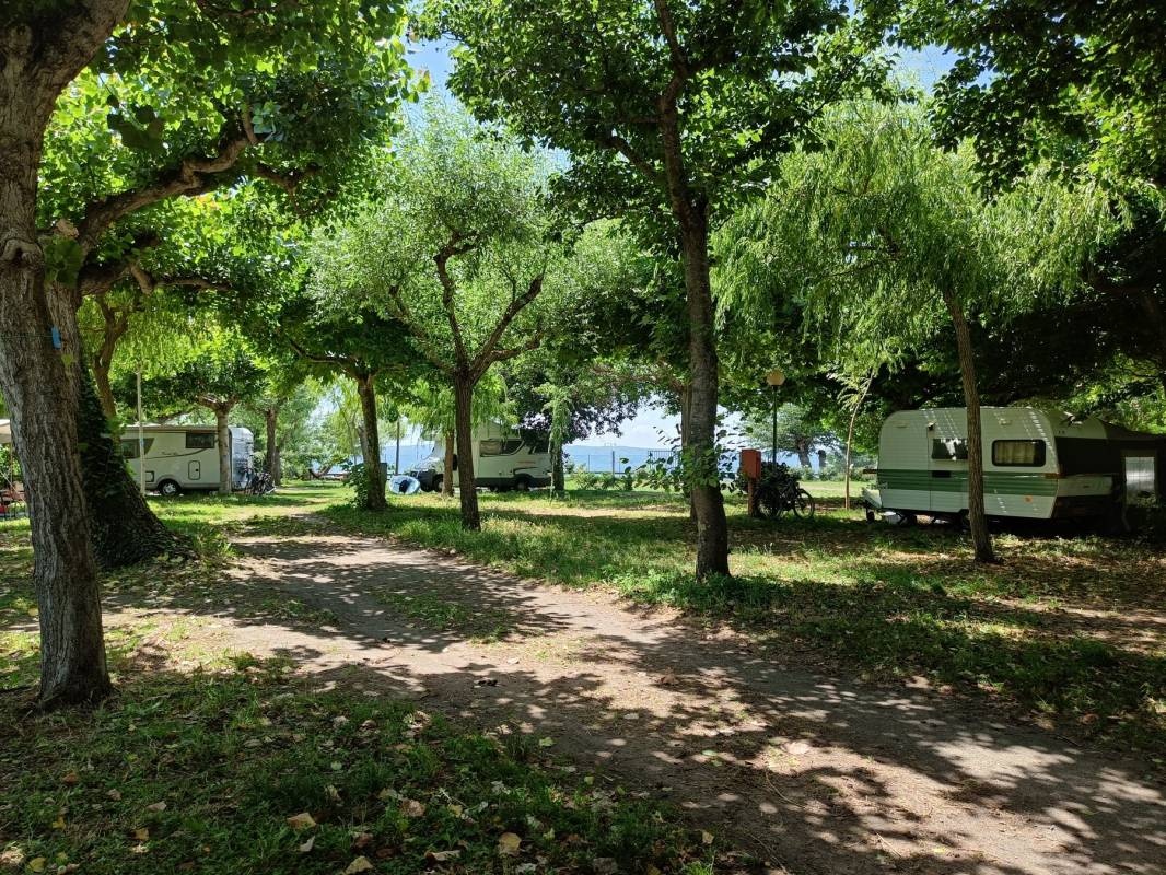 Blu International Camping — Cámping in Bolsena