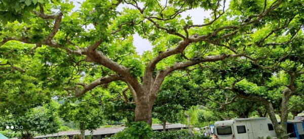 Blu International Camping — Photo 4