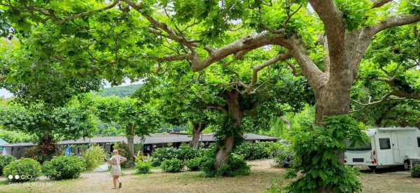 Blu International Camping — Photo 6