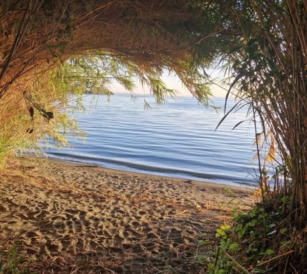 Blu International Camping — Photo 3