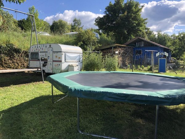 Quinta das Cegonhas — Photo 4