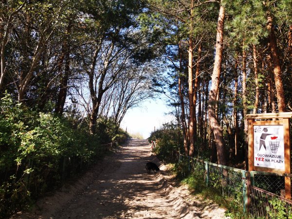 Ada Camping — Photo 4