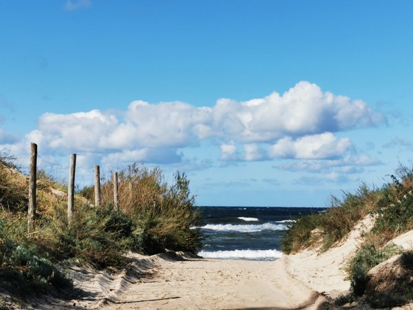 Ada Camping — Photo 5